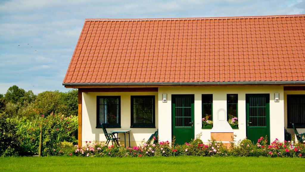 Ferienwohnung Hof Maiweg Alt Schonau ภายนอก รูปภาพ