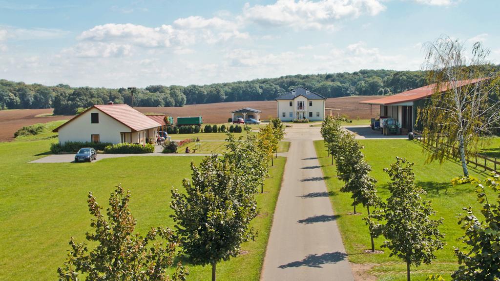 Ferienwohnung Hof Maiweg Alt Schonau ภายนอก รูปภาพ